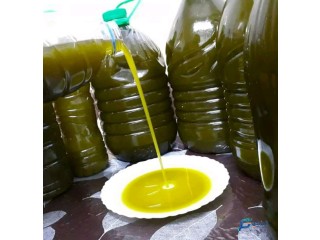 Le vrai olive oil (jijel)