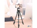 haml-tylyskob-small-5