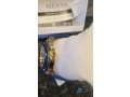 montre-guess-small-1