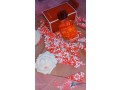 linterdit-givenchy-small-0
