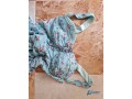 robe-de-soiree-small-1