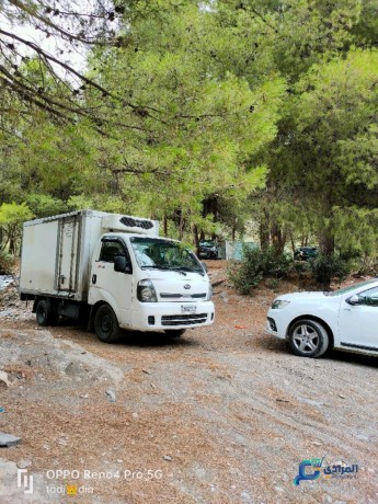 transport-frigorifique-de-marchandises-big-0