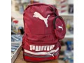 mhfth-mn-noaa-pumamaa-mhfth-sghyr-small-0