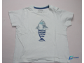 pule-blanc-et-bleu-occasion-small-0