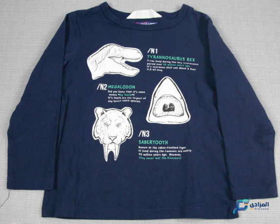 pull-bleu-longe-manche-hm-eur98104cm-occasion-big-0