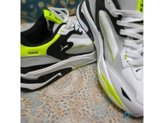 Puma rs-fast