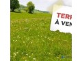 terrain-agricole-small-0