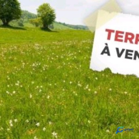 terrain-agricole-big-0