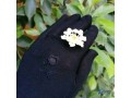 kfazat-shraay-small-0