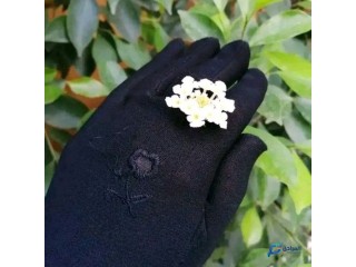 قفازات شرعية