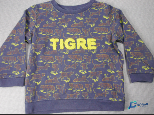 t-shirt-a-manche-longue-tigre-enfant-big-1