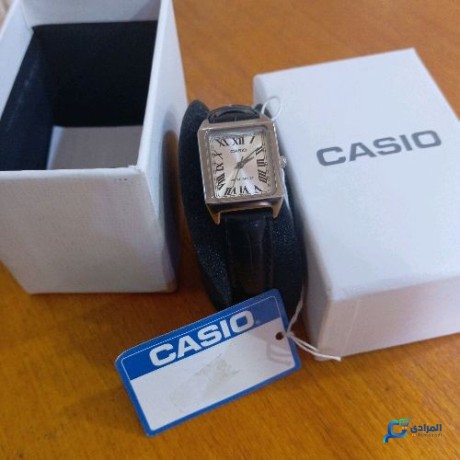 casio-big-0