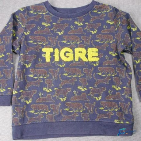 pull-manche-longue-garcon-big-0
