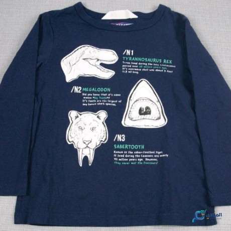 pull-bleu-nuit-garcon-big-0