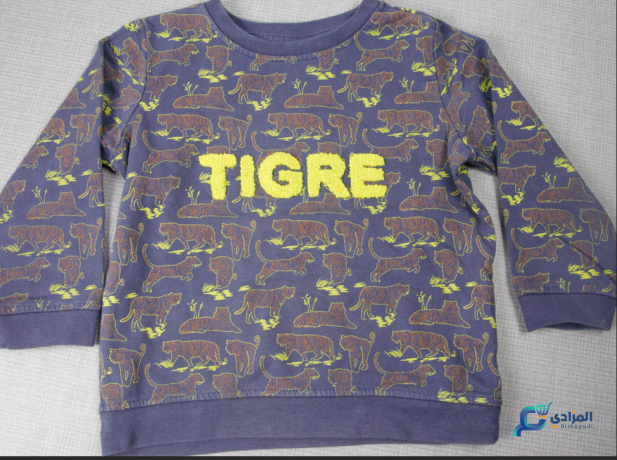 pull-garcon-tigre-big-1