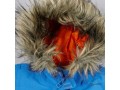 veste-bleue-garcon-small-2