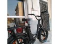 velo-electrique-radpower-bikes-small-1