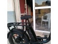 velo-electrique-radpower-bikes-small-3