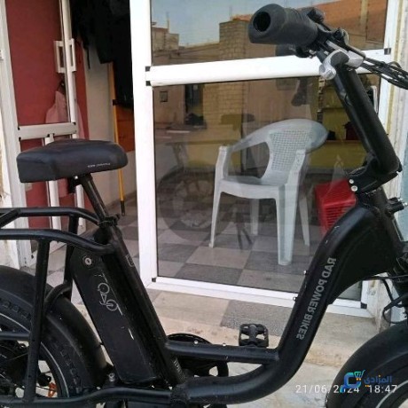 velo-electrique-radpower-bikes-big-2