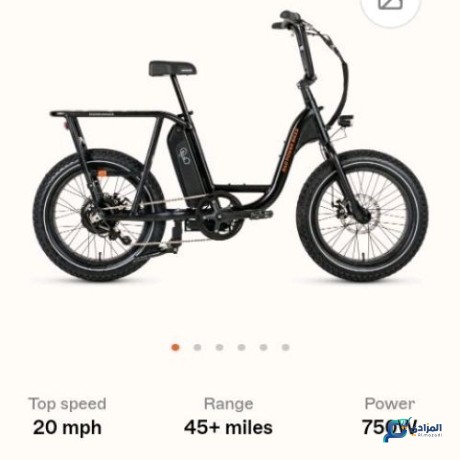 velo-electrique-radpower-bikes-big-0