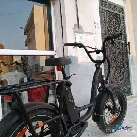 velo-electrique-radpower-bikes-big-1
