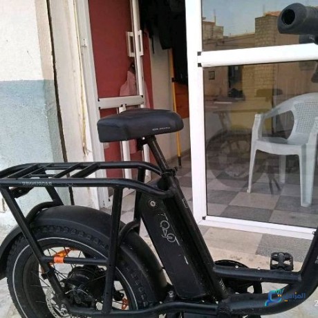 velo-electrique-radpower-bikes-big-3