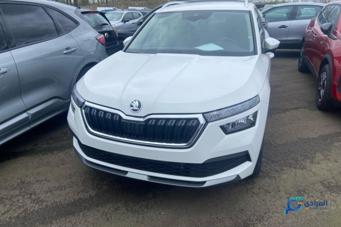 skoda-kamiq-3ans-big-0