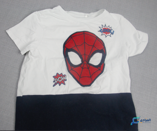 t-shirt-demi-manche-spiderman-big-1