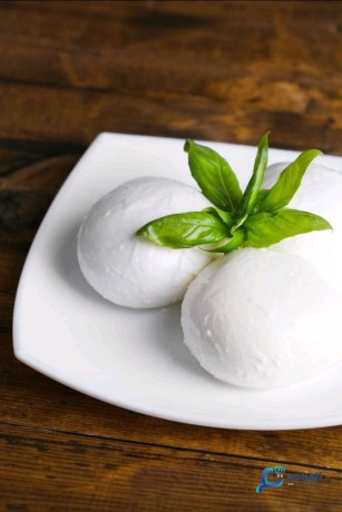 fromage-mozzarella-big-0